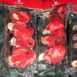 Holiday Red Bird Decorations